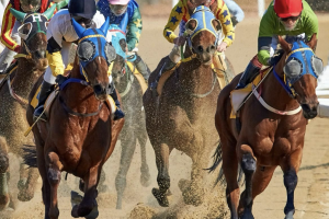 Employment background checks: A guide for Australia’s horse racing industry